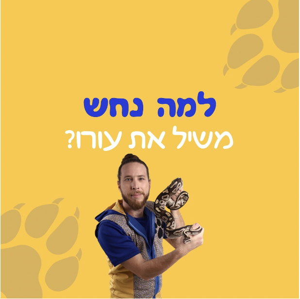 פוסט 8 אריק