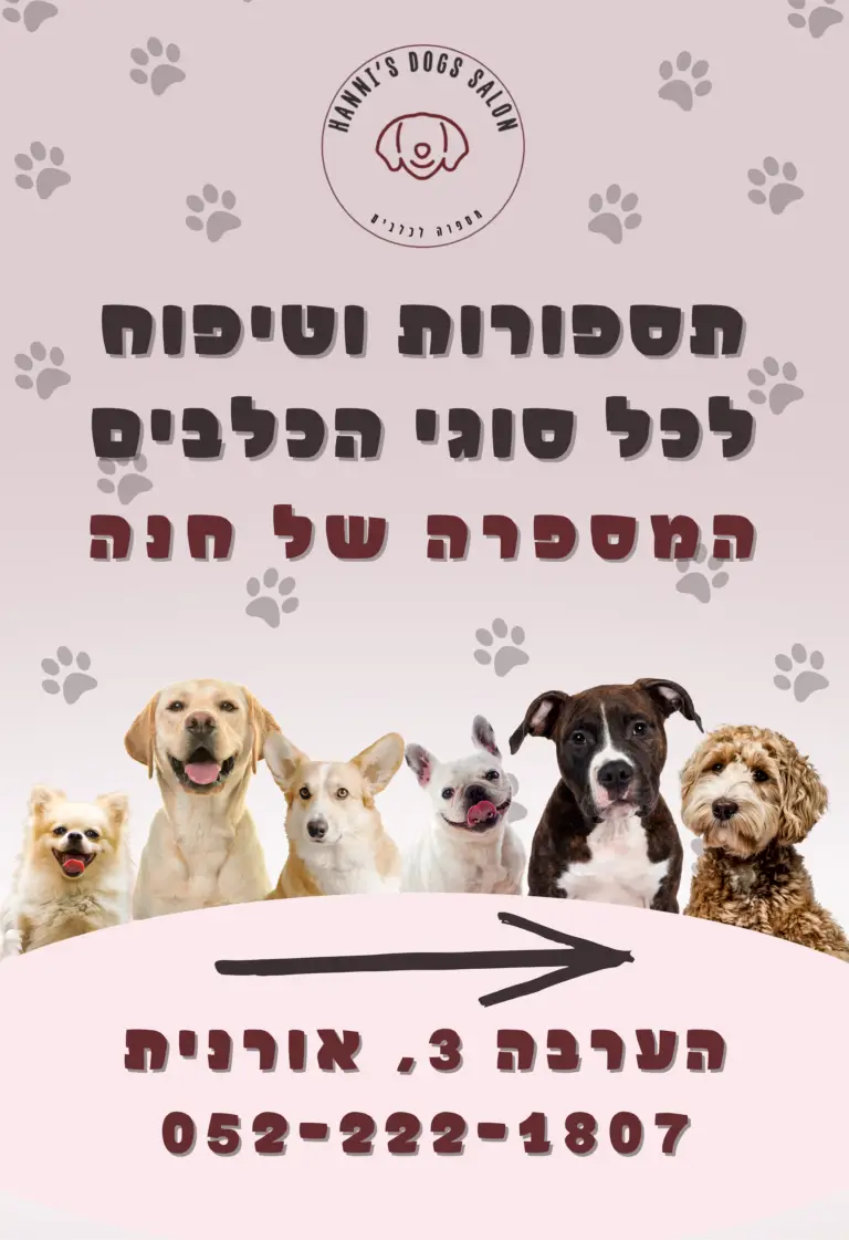 מספרה-מודעת-פרסום-