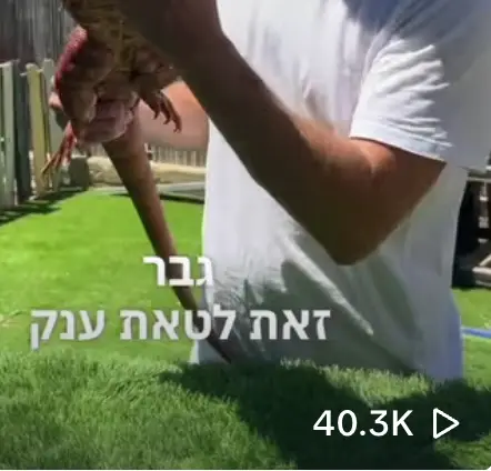 אריק מלך החיות