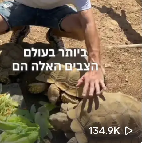 אריק מלך החיות