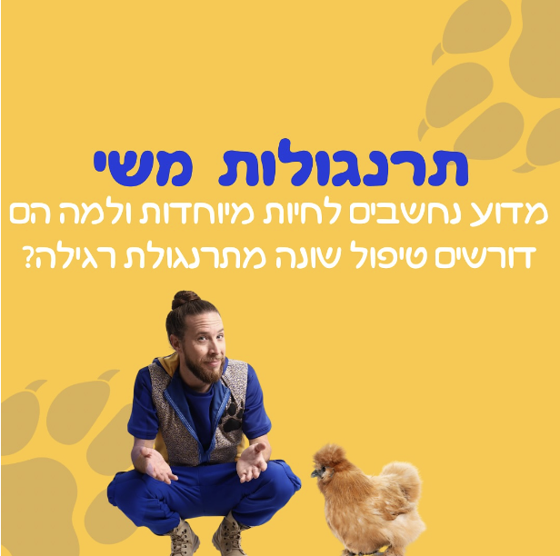 אריק מלך החיות