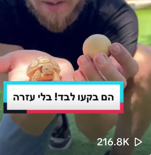 אריק מלך החיות