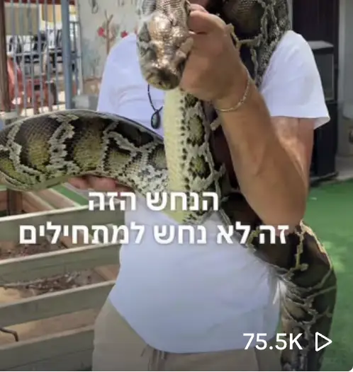 אריק מלך החיות