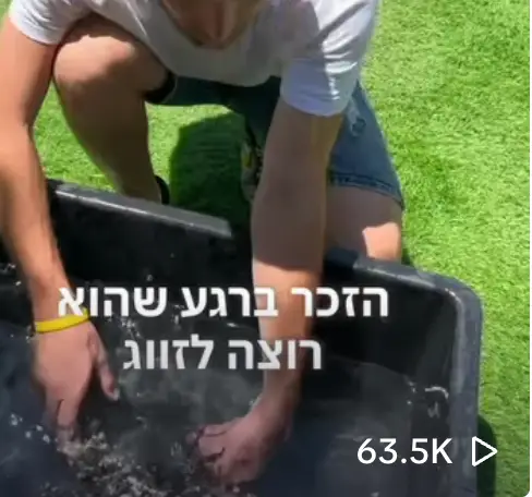 אריק מלך החיות